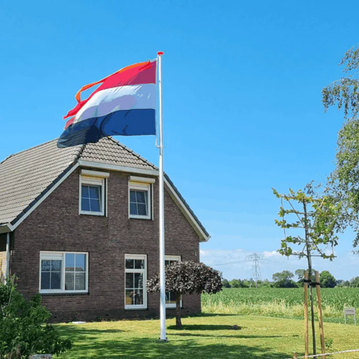 Bos Vlaggen